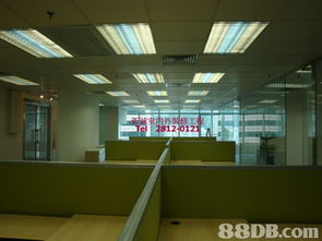 新诚装修 专业施工，精准报价，打造理想空间